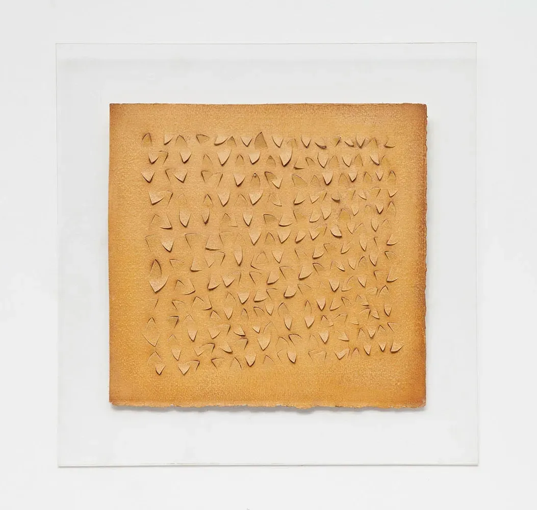 Arthur Piza — Sem título, 1985