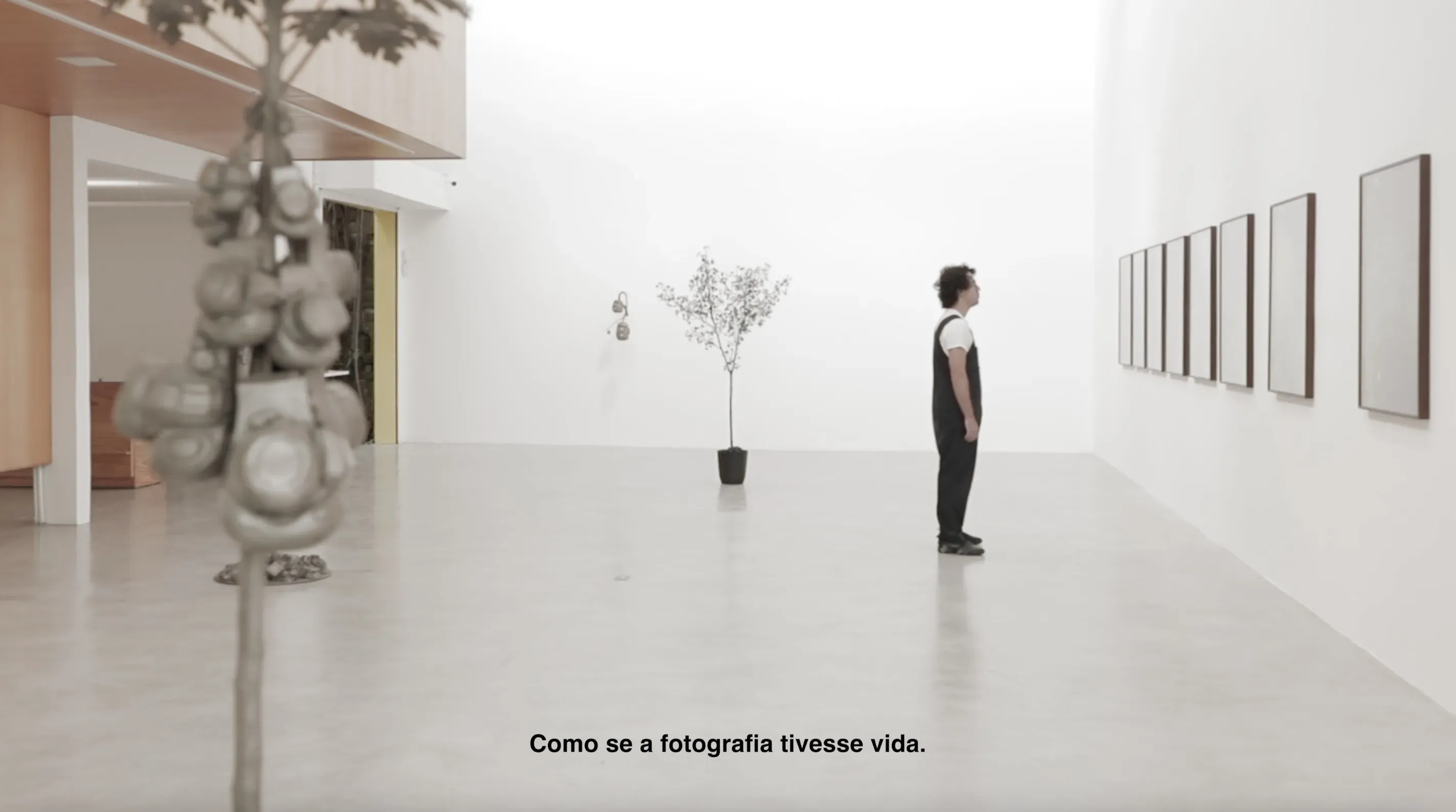André Feliciano - Ecologia Fotográfica