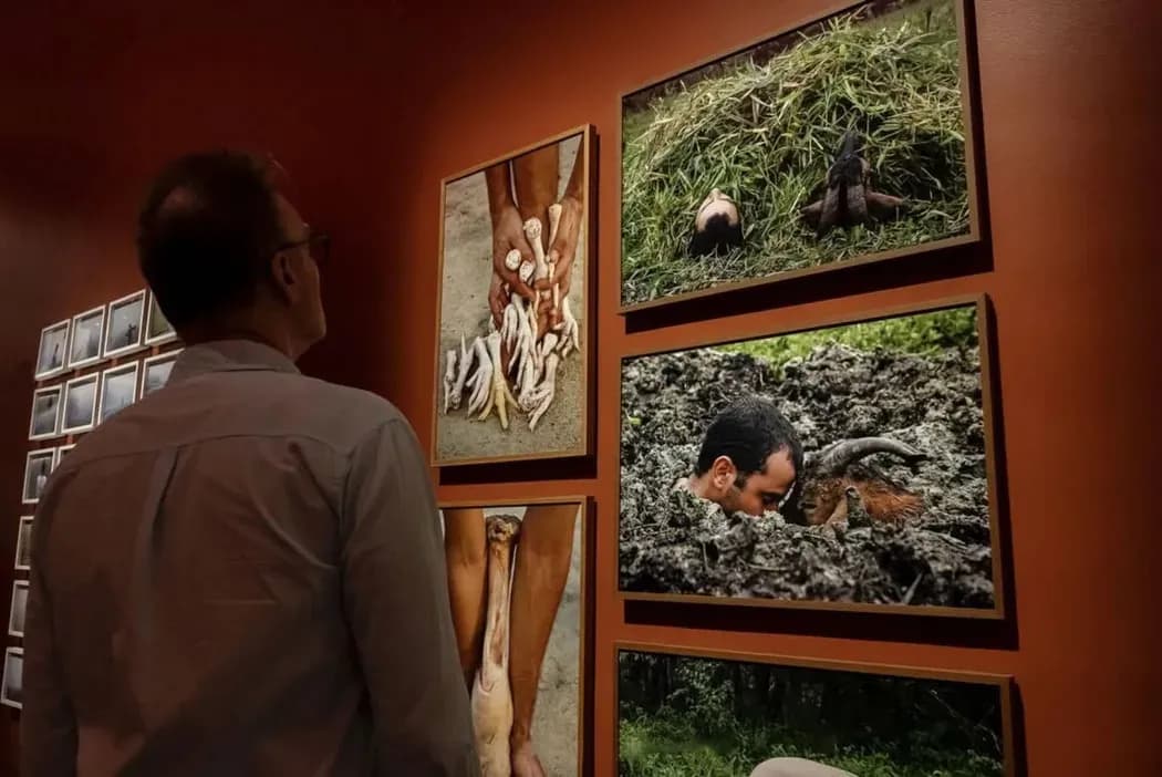 Rodrigo Braga na mostra “MAM São Paulo na Pinacoteca do Ceará