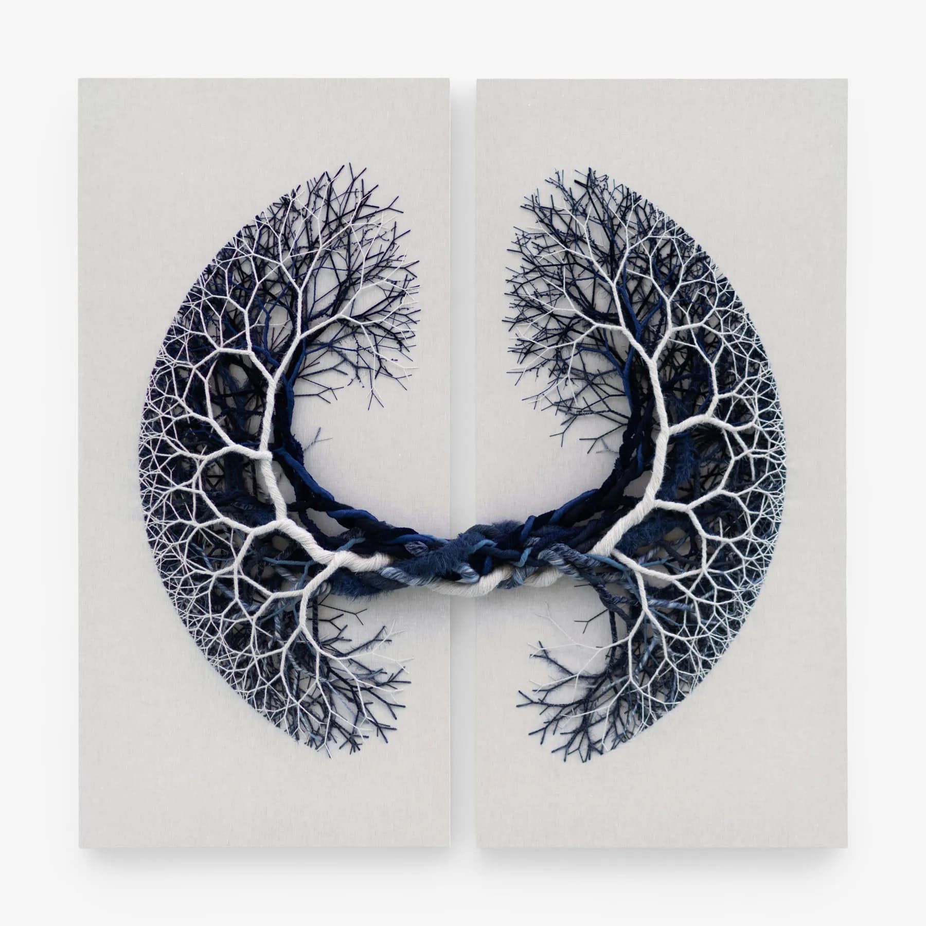 Janaina Mello Landini — Ciclotrama 419 (superstrato), 2026