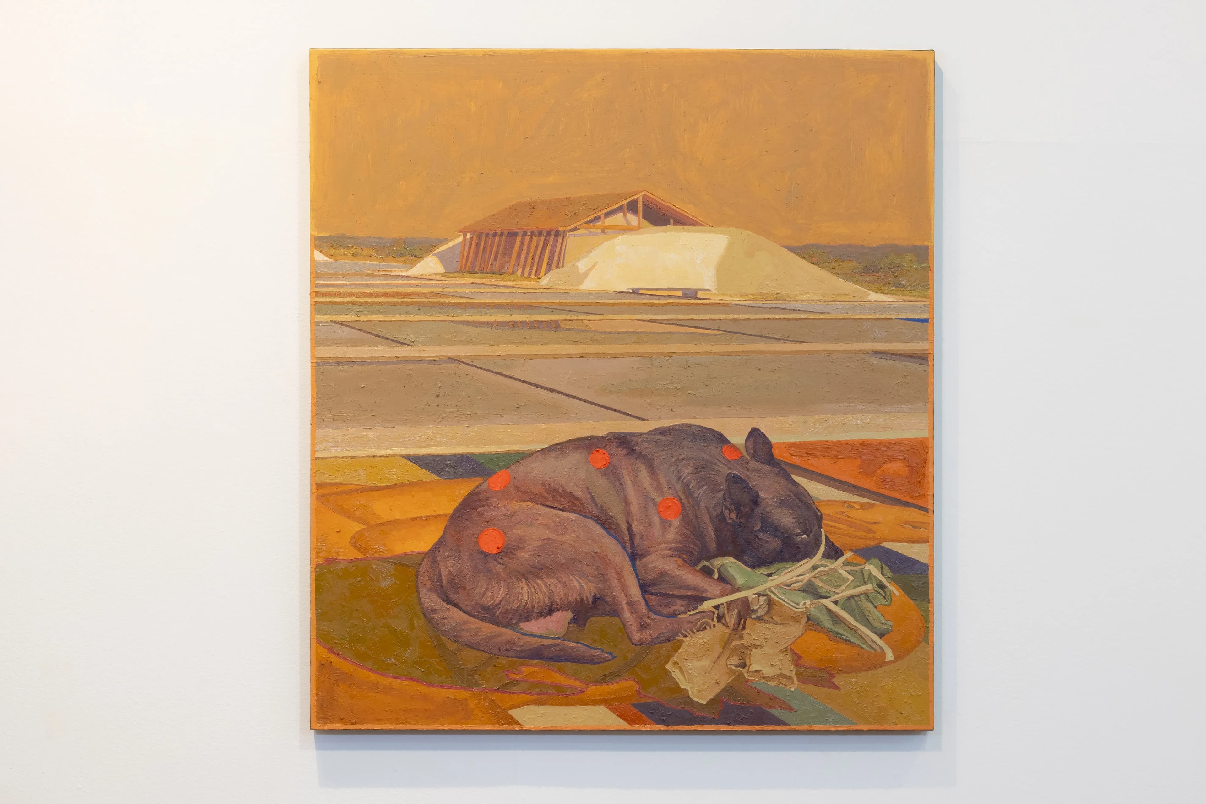 Ian Salamente — Sem Fastio (fome do cão), 2025